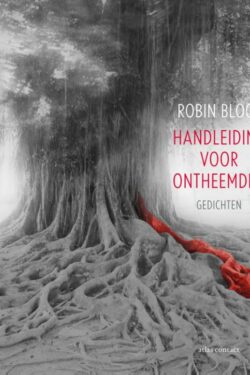 Handleiding voor ontheemden - Robin Block