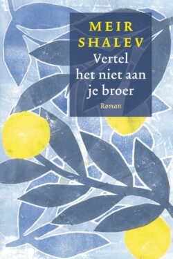 Vertel het niet aan je broer - Meir Shalev