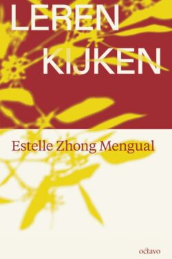 Leren kijken - E. Zhong Mengual