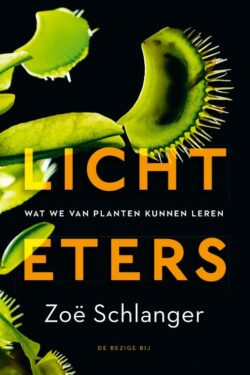 Lichteters - Zoë Schlanger